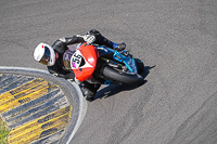 anglesey-no-limits-trackday;anglesey-photographs;anglesey-trackday-photographs;enduro-digital-images;event-digital-images;eventdigitalimages;no-limits-trackdays;peter-wileman-photography;racing-digital-images;trac-mon;trackday-digital-images;trackday-photos;ty-croes
